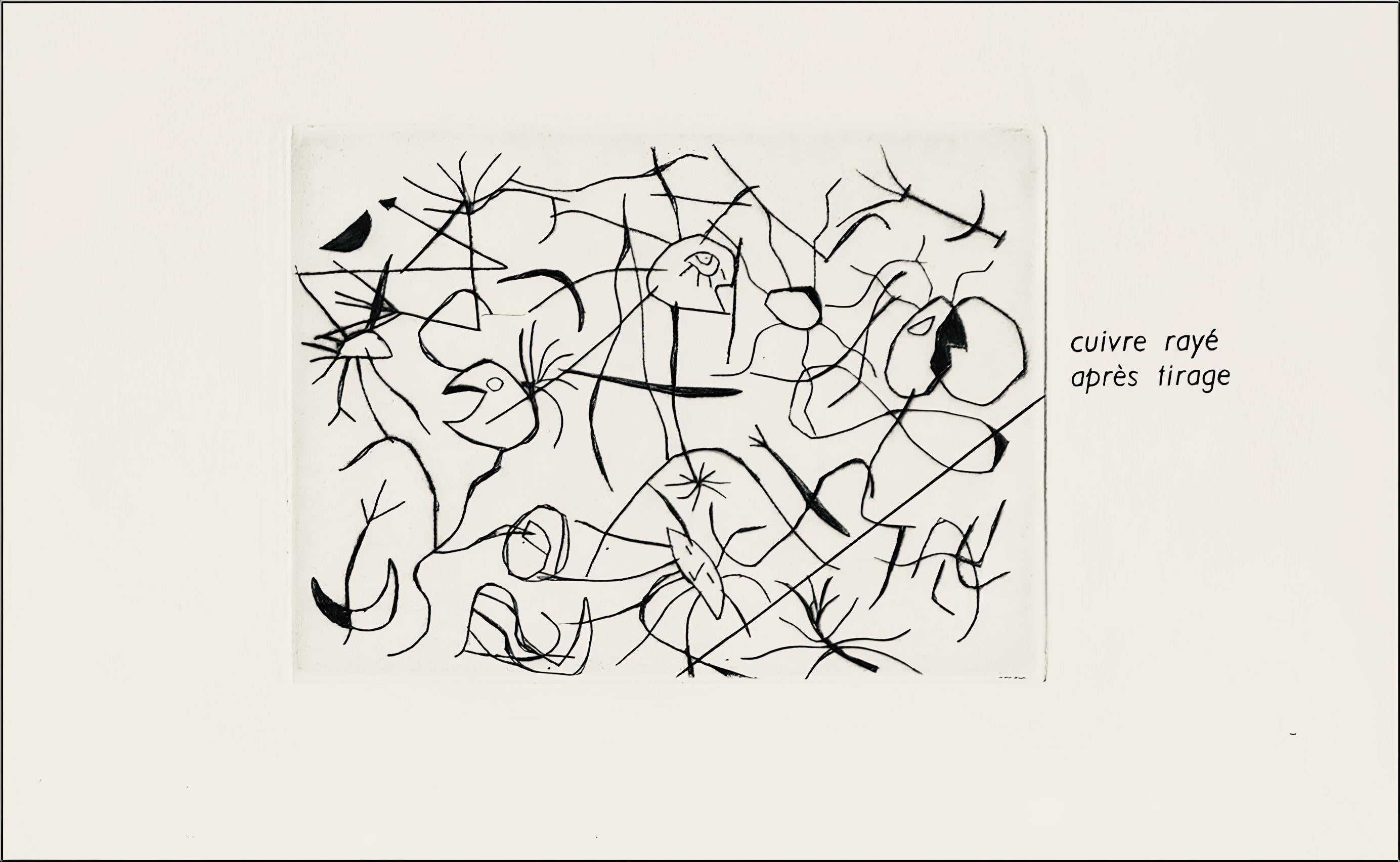 Gravure sur cuivre rayé après tirage sur papier vélin. Format du papier : 15 x 11 pouces ; taille de l'image : 2.8 x 3.9 pouces. Inscription : Non signé et non numéroté, tel que publié. Références du catalogue raisonné : Cramer, Patrick, et Joan