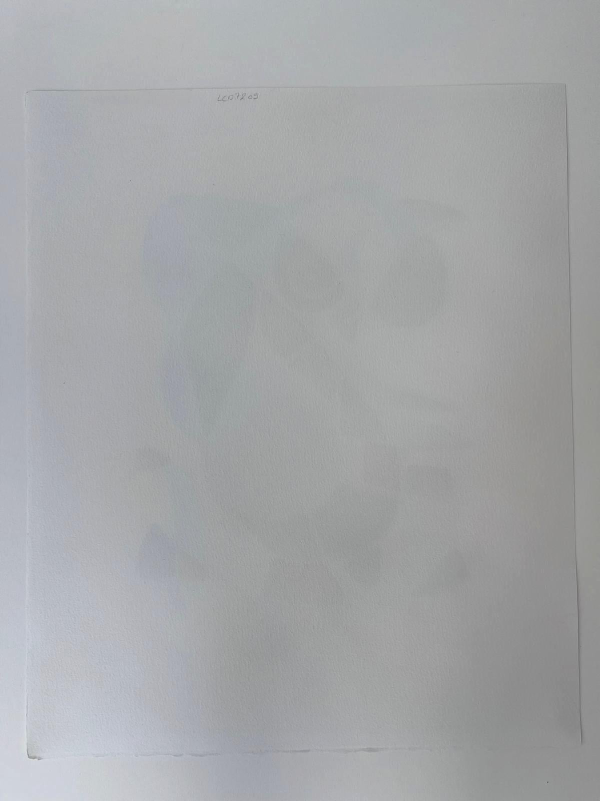 Miró Litografía II plancha 12 - Print de Joan Miró