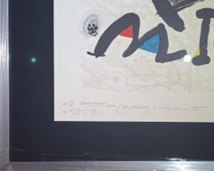 Miro, Museo de Arte Moderno de México