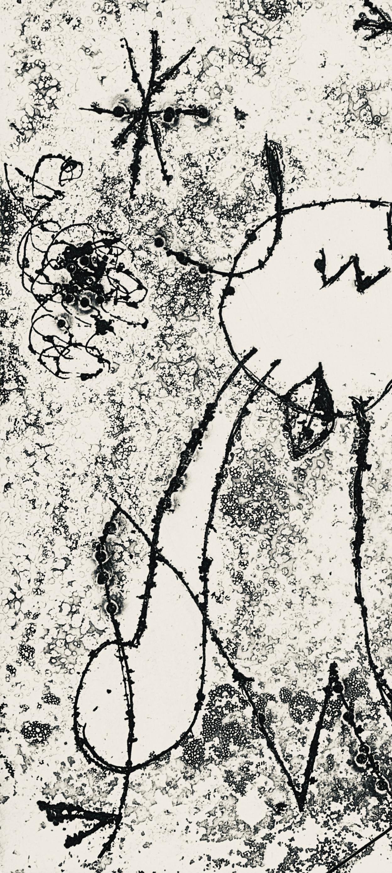 Miró, Serie V (Cramer 36), Derrière le miroir (after) - Beige Abstract Print by Joan Miró