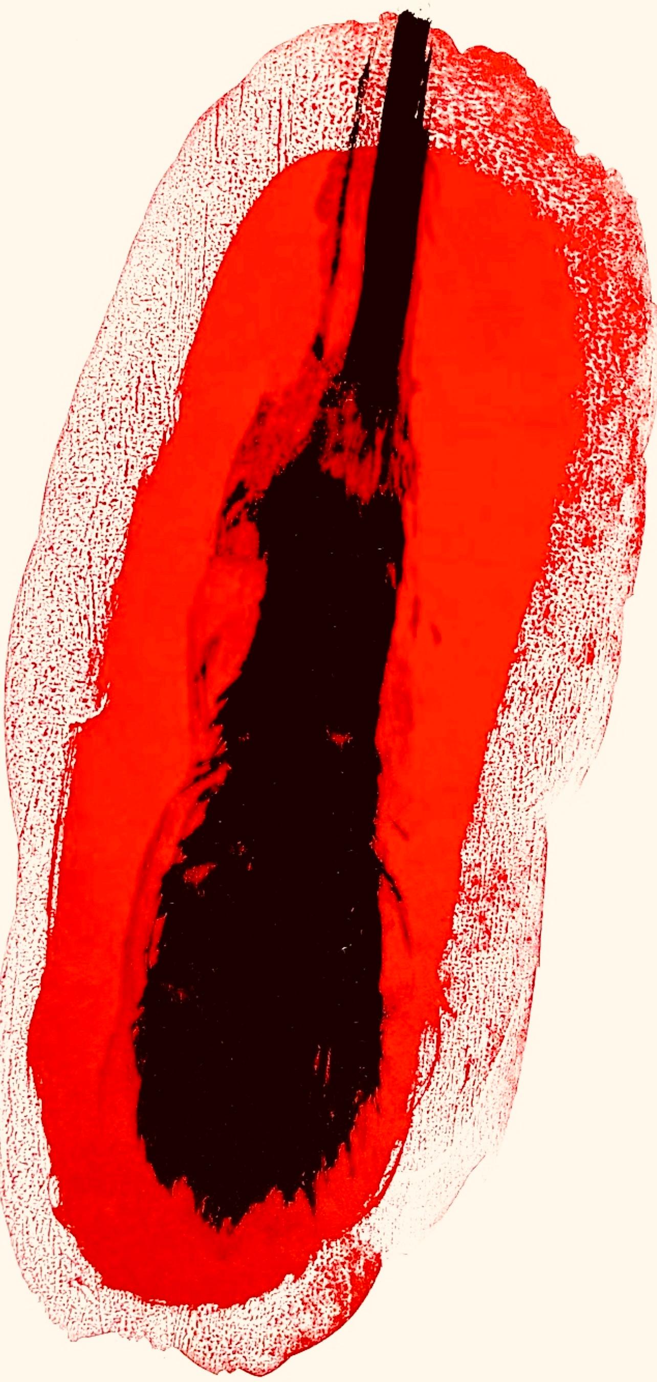 Miró, The Ring (Mourlot 301-302), Derrière le miroir (d'après) - Print de Joan Miró