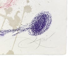 Piastra 5, da Maravillas con Variaciones Acrósticas en El Jardín de Miró