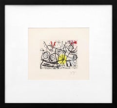 Preparatifs d'oiseaux I, Dupin 365 (rare hand signed aquatint etching)