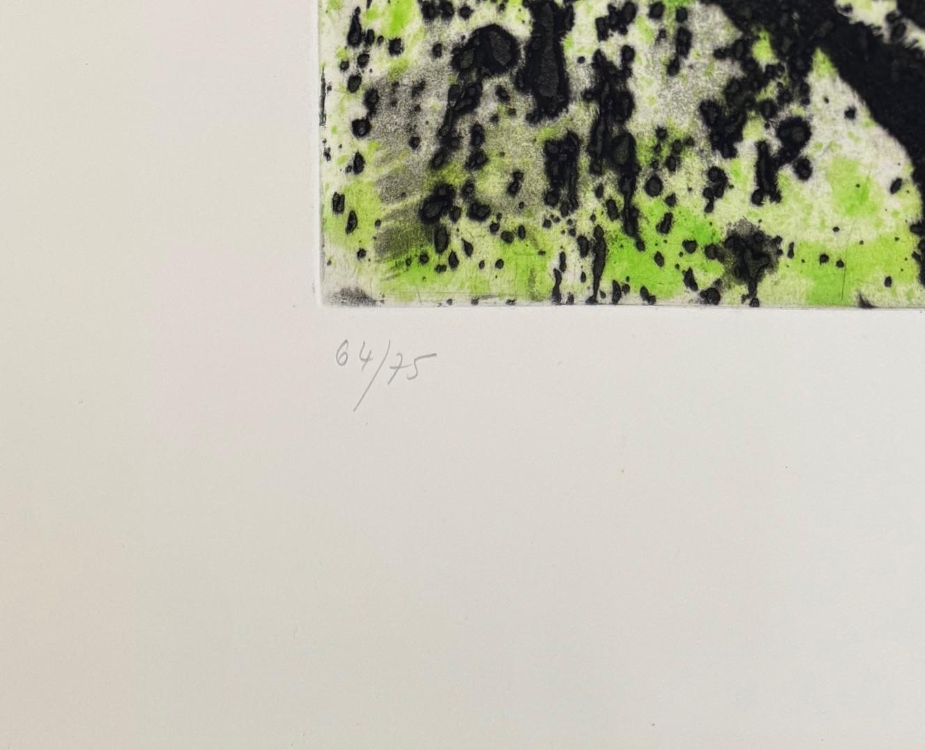 Règne végétal (Plant Kingdom) - Print by Joan Miró