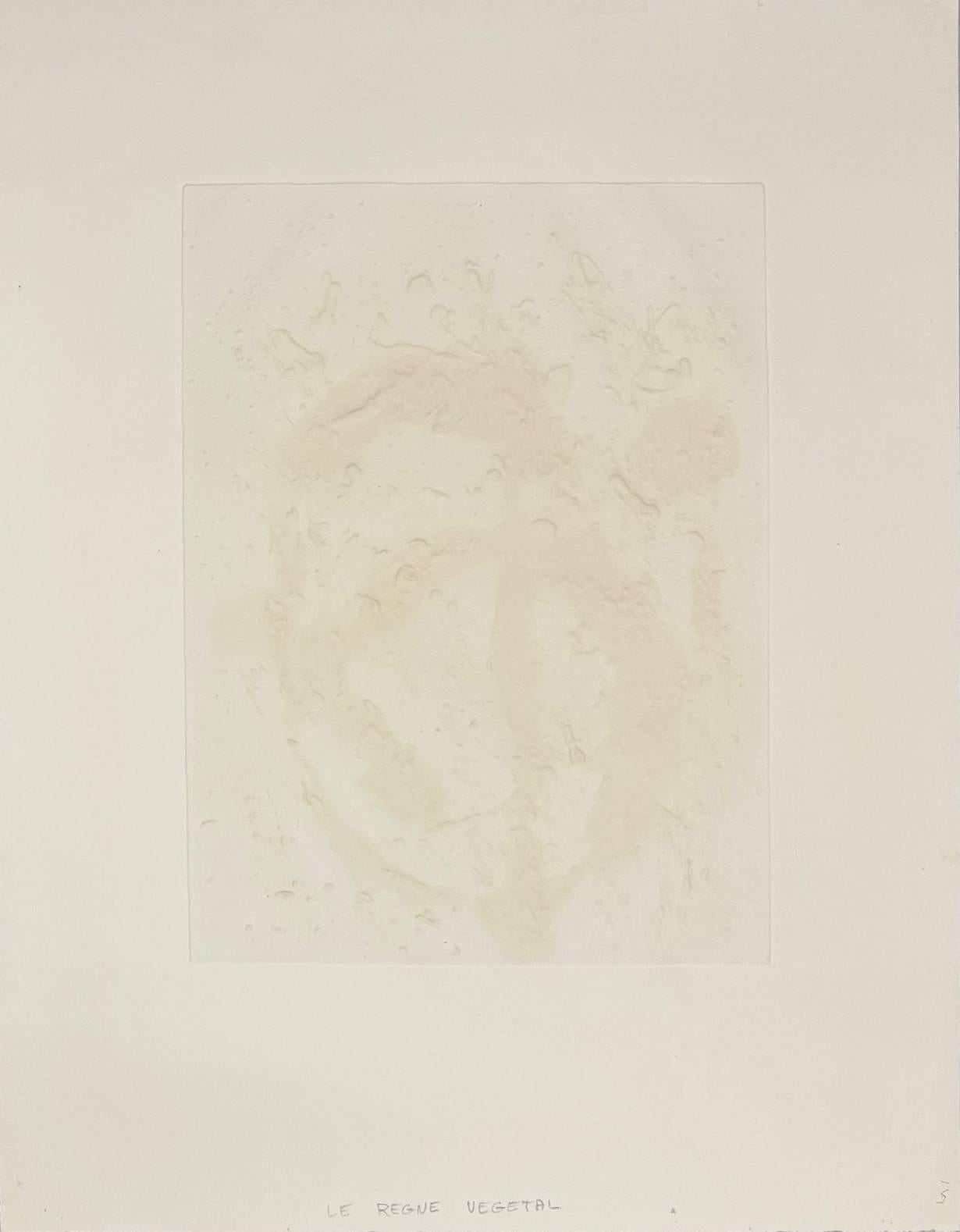 Règne végétal (Plant Kingdom) For Sale 1