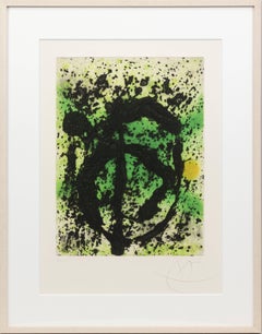 Règne végétal (Plant Kingdom)