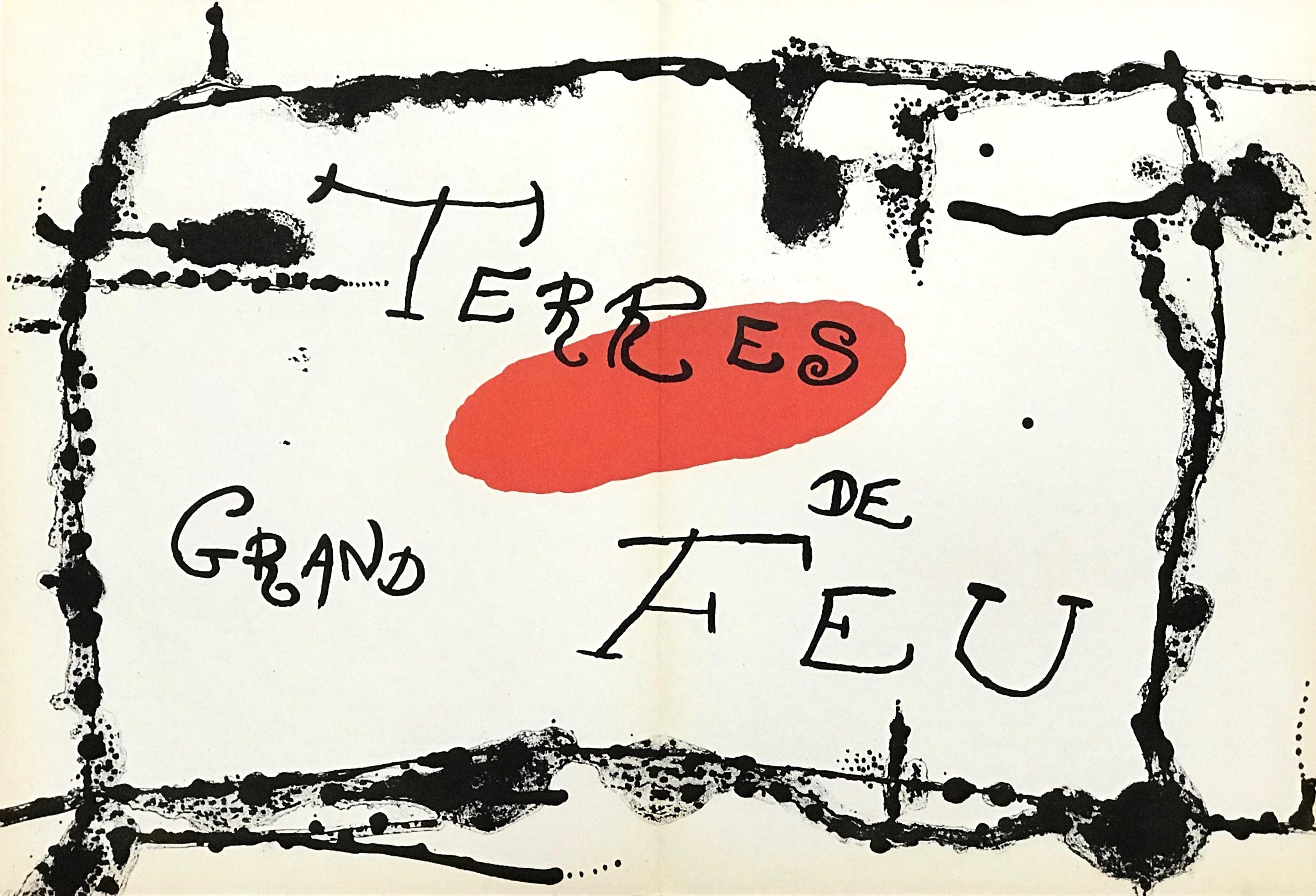 "Terres de Grand Feu" original lithograph - Print by Joan Miró