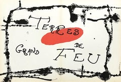 Vintage "Terres de Grand Feu" original lithograph