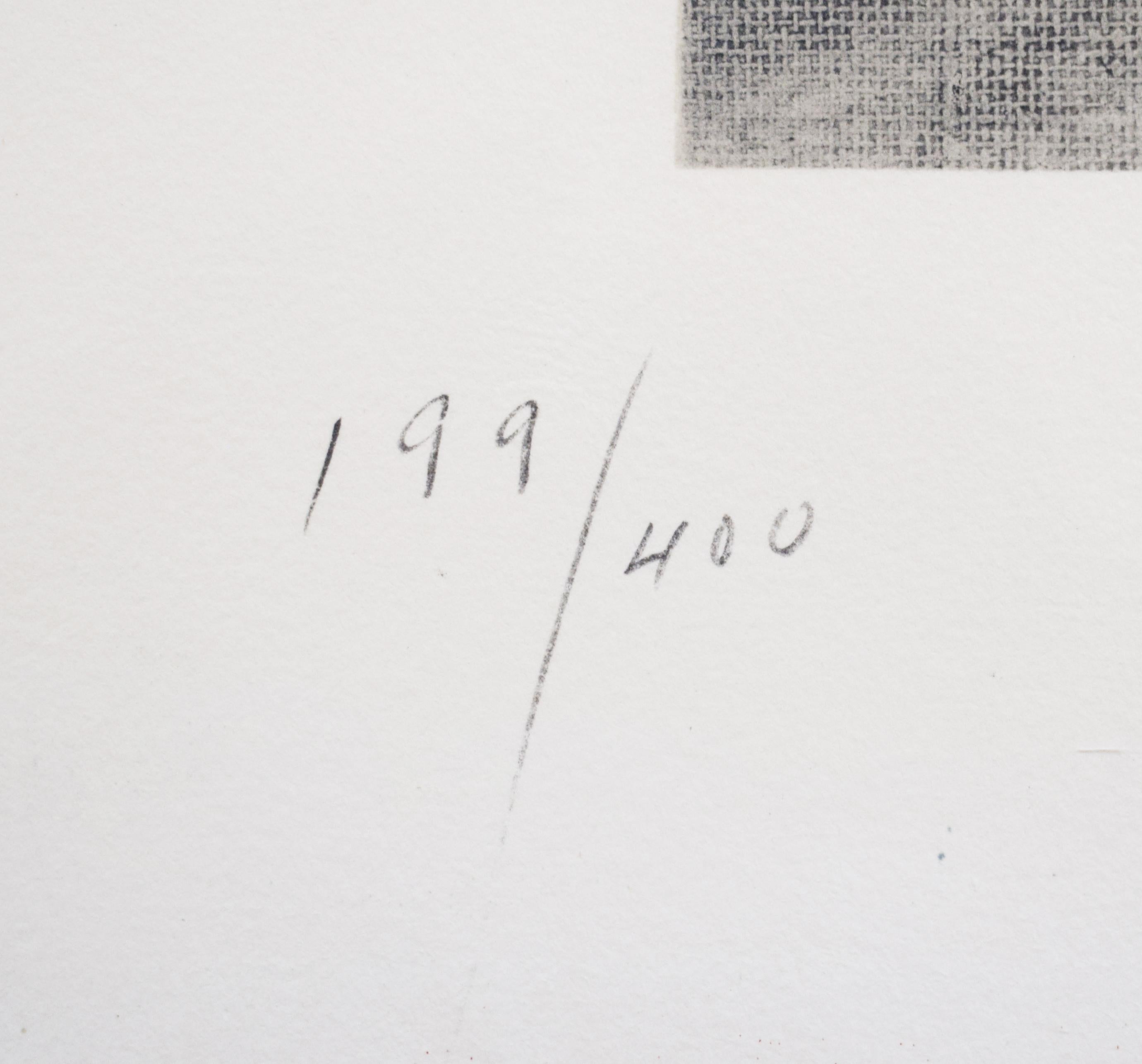 This lithograph in colours is hand signed in pencil by the artist 