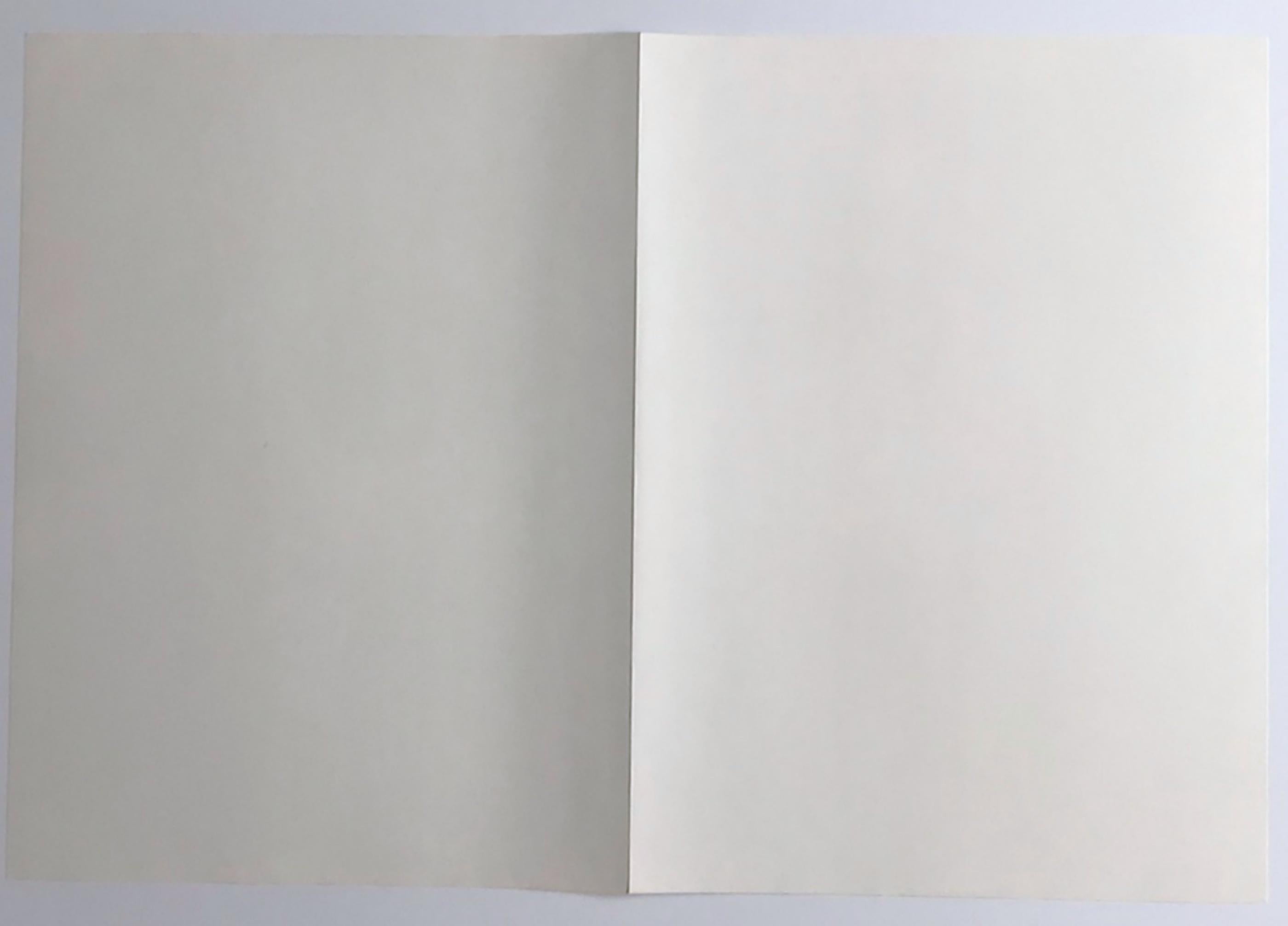 Joan Mitchell
Lithographie expressionniste abstraite (édition de luxe signée à la main de 30 exemplaires), 1972
Lithographie
L'œuvre est signée à la main par Joan Mitchell sur la page de colophon (séparée) du portfolio (voir photos).
15 × 22
