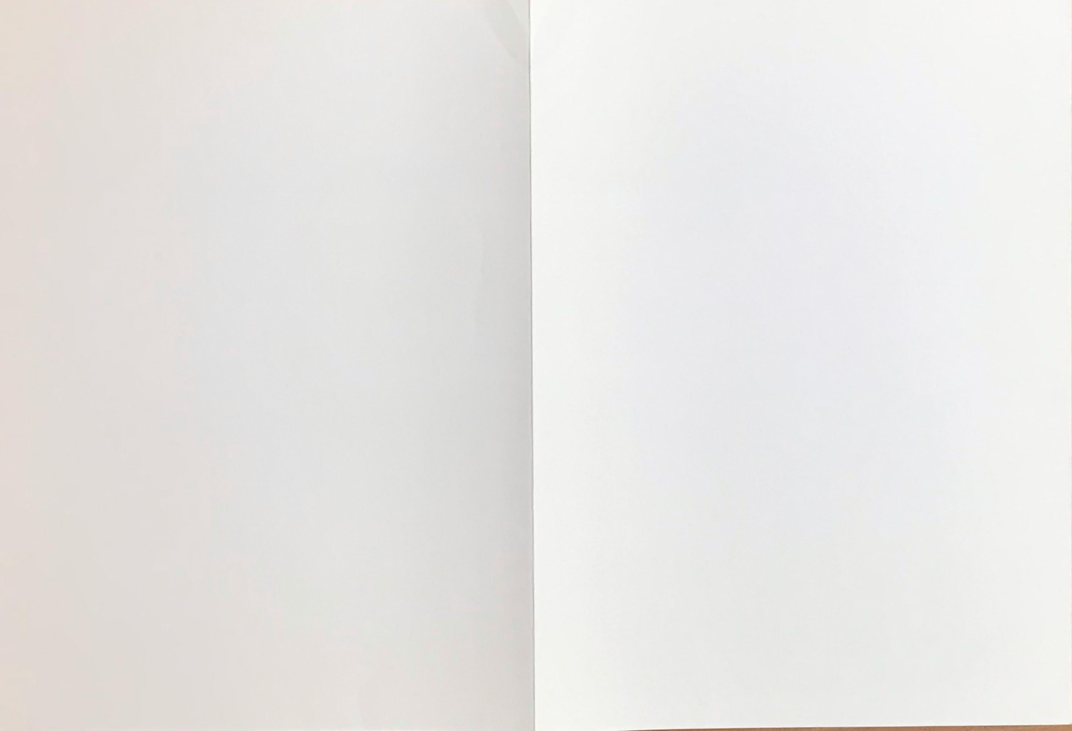 Lithographie expressionniste abstraite pour le Carnegie Museum of Art, édition de 1000 - Print de Joan Mitchell