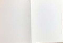 Litografía expresionista abstracta para el Museo de Arte Carnegie, Lt Ed. de 1000