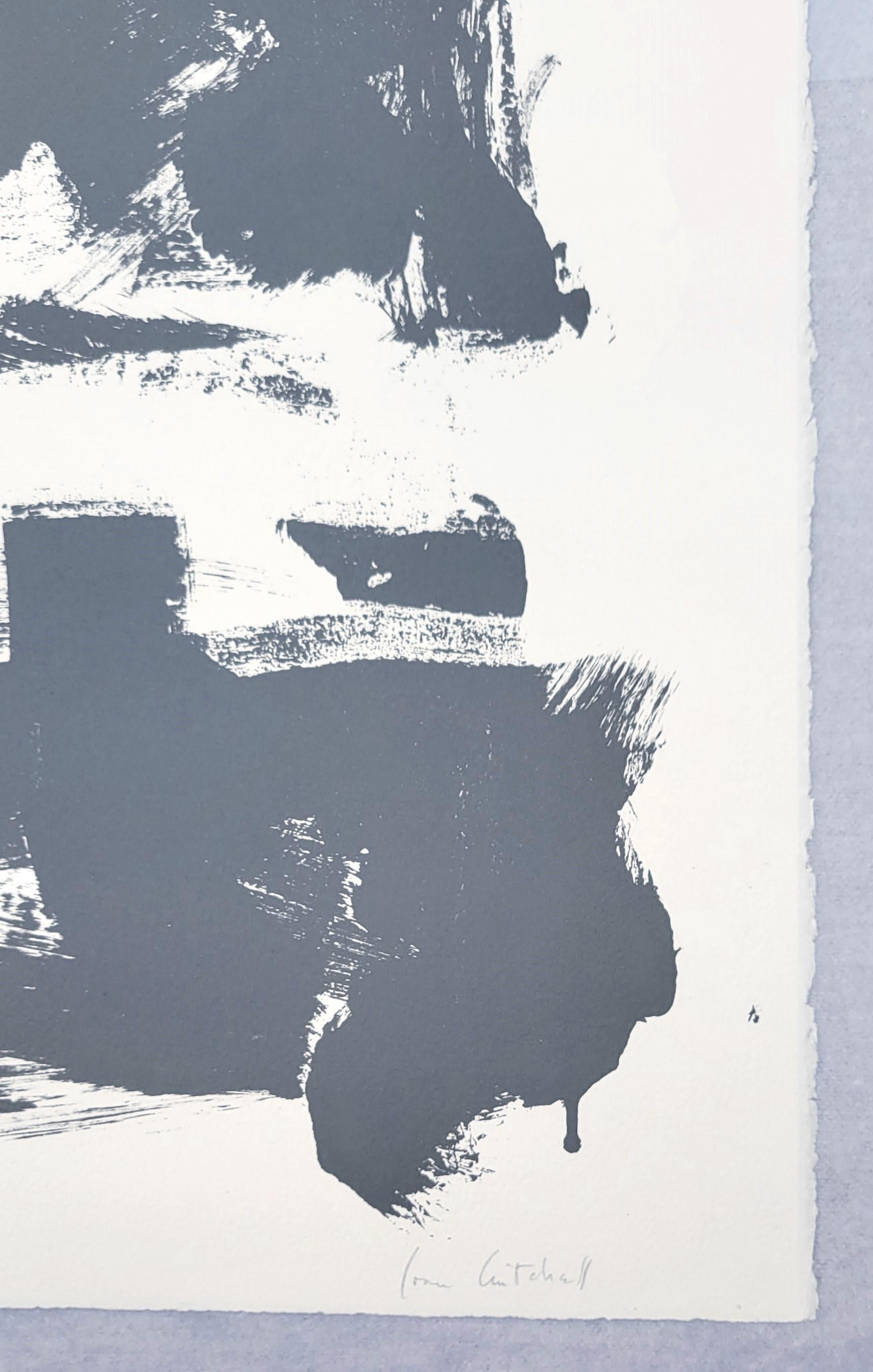 Champs (Gray) /// Joan Mitchell Post-War Female Artist Abstract Art Lithograph 4
