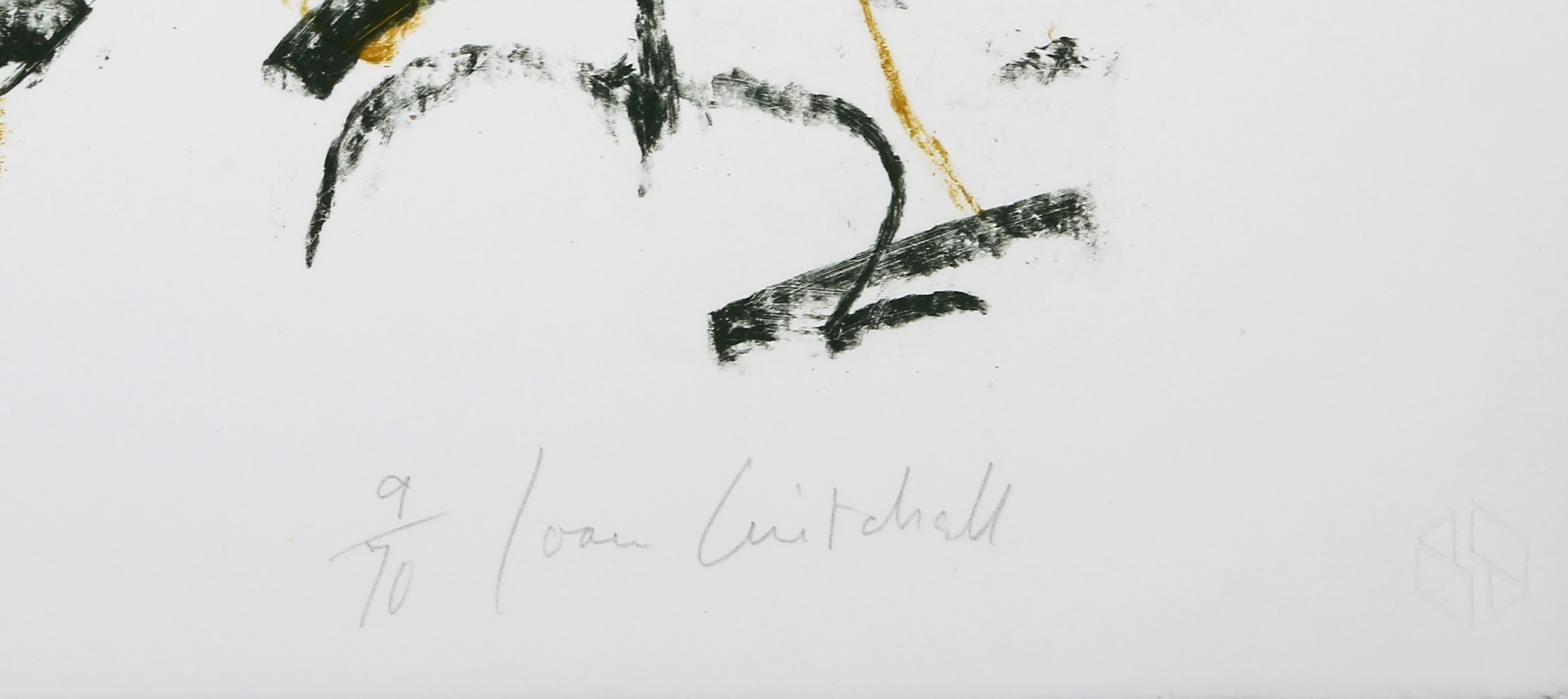 Flowers I-III from Bedford Series of Three Abstract Lithographs by Joan Mitchell For Sale 7