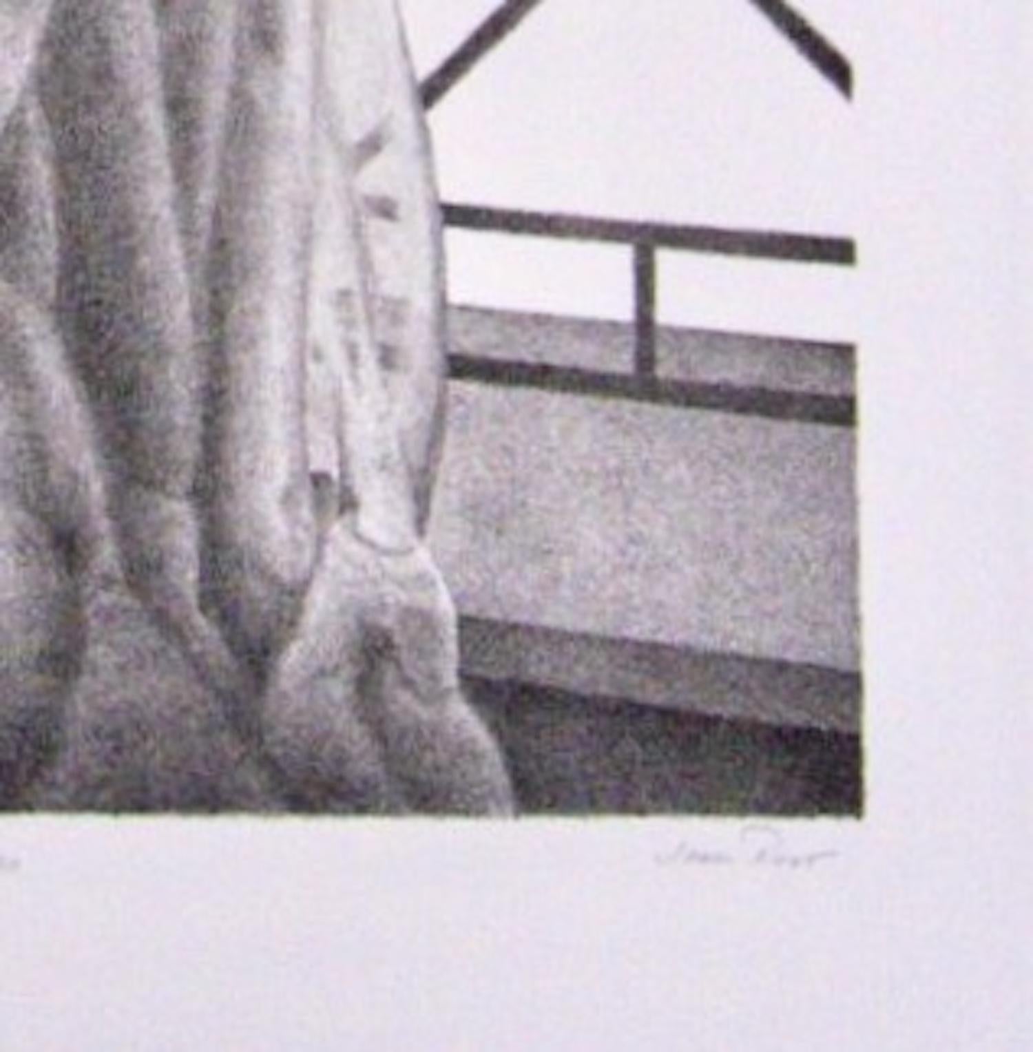 Joan Root, Die Ankunft, 1982 (Grau), Interior Print, von joan root