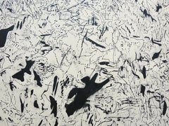 ABSTRACT Neue schwarz-weiße Tuschearbeiten der zeitgenössischen Künstlerin Joan Salo 2024