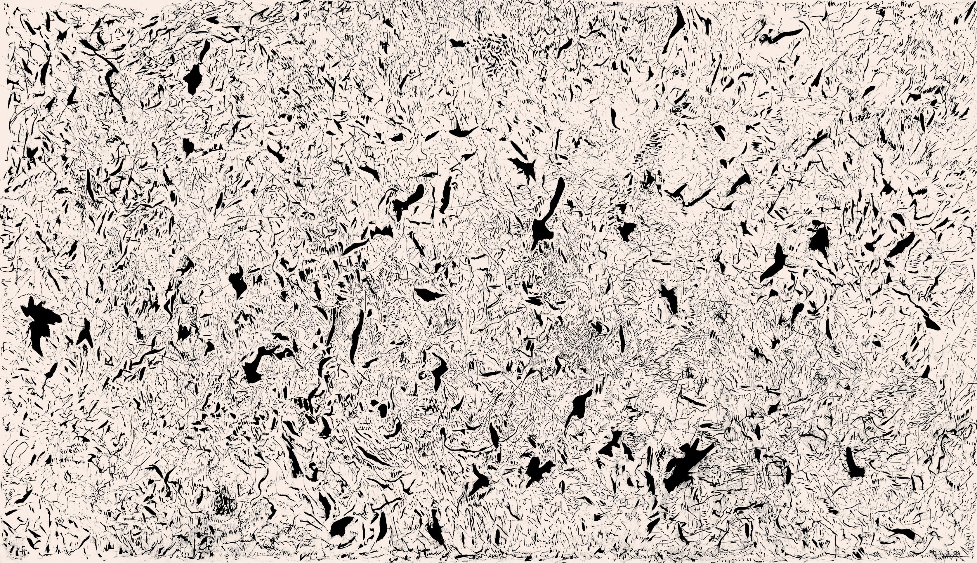 ABSTRACT Nueva obra de tinta blanca y negra del artista contemporáneo Joan Salo 2024