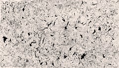 ABSTRACT Nueva obra de tinta blanca y negra del artista contemporáneo Joan Salo 2024