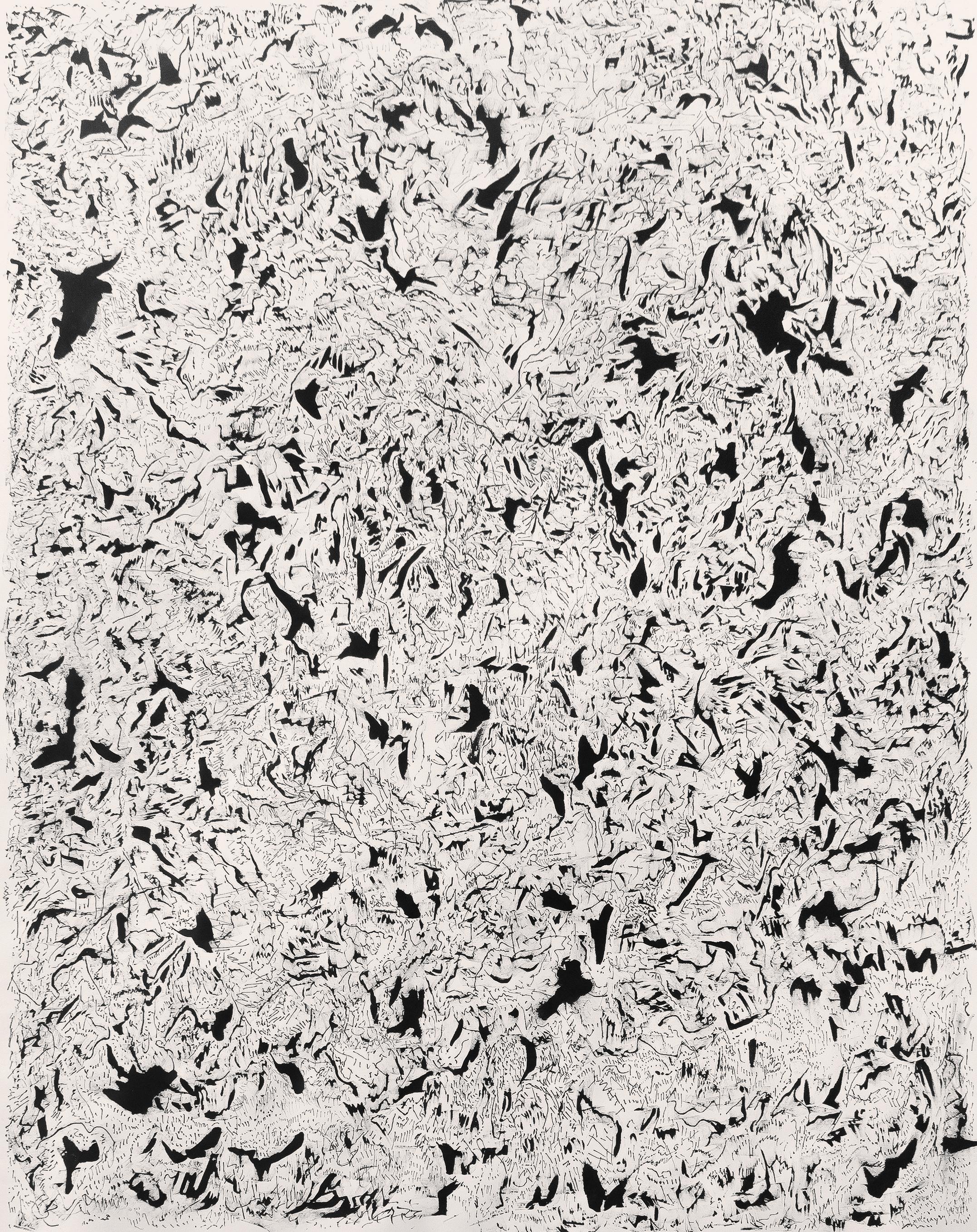 ABSTRACT Nueva obra de tinta blanca y negra del artista contemporáneo Joan Salo 2024