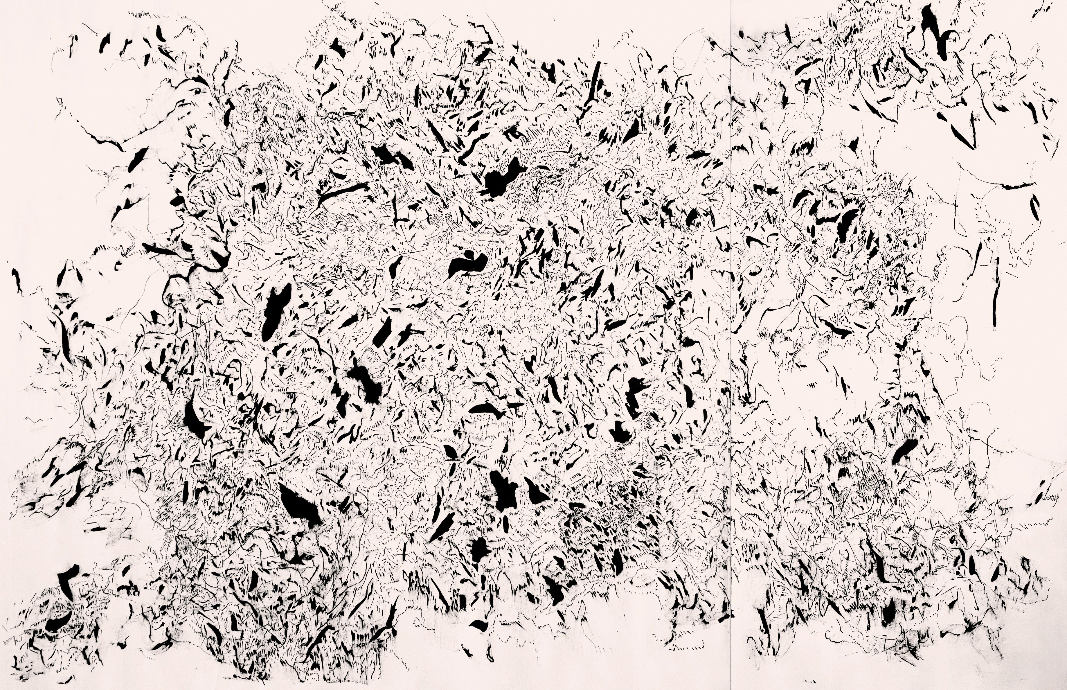 ABSTRACTO Nuevo Díptico Blanco Negro Tinta Obra de Arte Artista Contemporáneo Joan Salo 2024