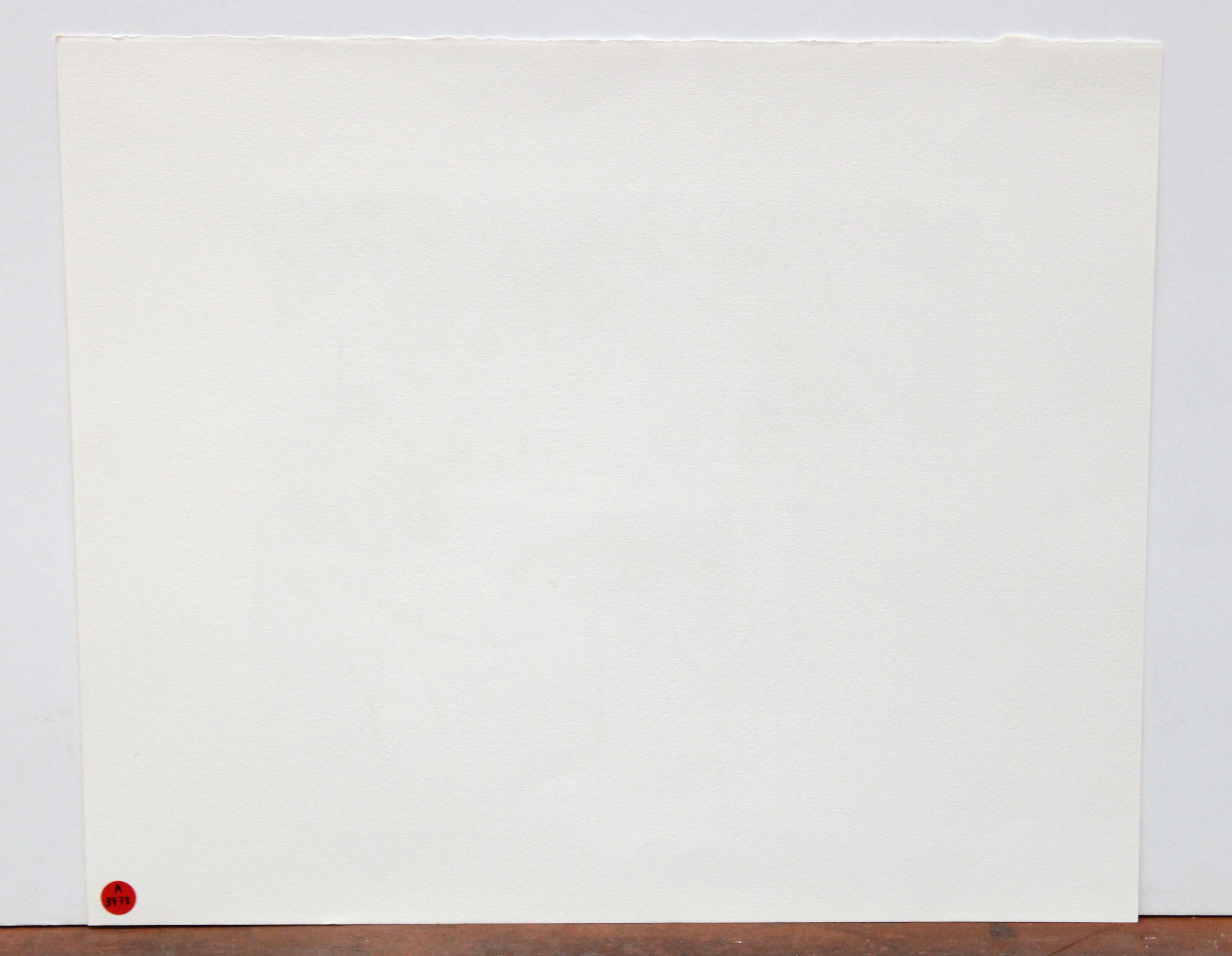 Firmada a lápiz por el artista en la parte inferior y fechada del año 1981

También va con el tiraje, que en este caso es una 12 sobre un tiraje de 250 ejemplares

En buen estado de conservación

Se presenta sin enmarcar

Medidas: 49 cm x 58 cm.