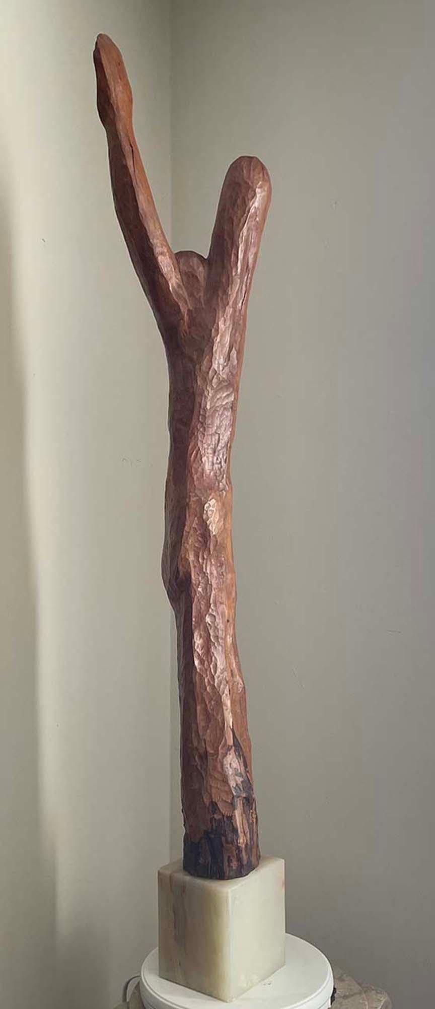 Evolution - Sculpture by Joan Strauss Carl