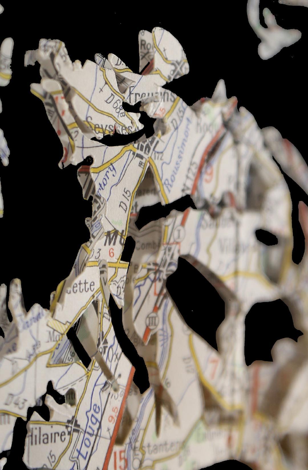 gorilla maps