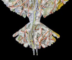 Love Bird cutouts, maps, sports bird animal