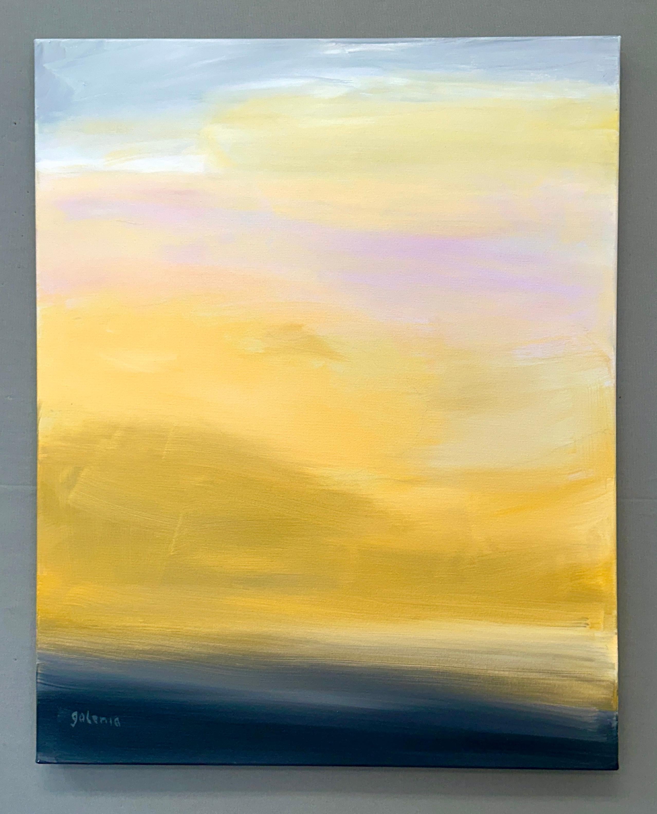 <p>Artist Comments<br />Warm yellows and pinks blend with cool blues, evoking the ever-changing sky over the Gulf of Mexico off the west Florida coast. The colors are a kaleidoscope of day and night. The composition exudes a calming ambiance.</p><br
