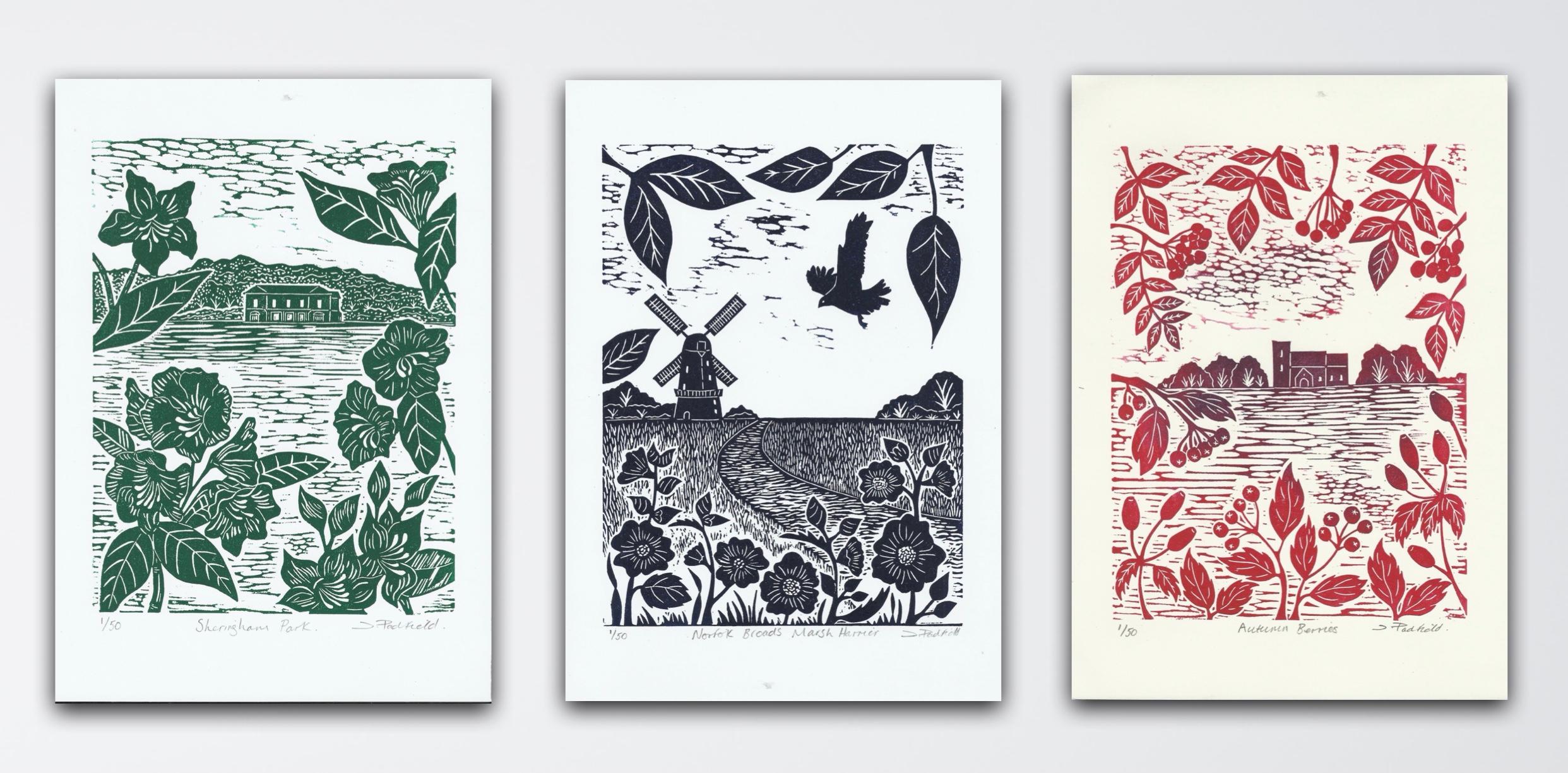 Landscape Print di Joanna Padfield - Bacche d'autunno, Norfolk Broads Marsh Harrier e Sheringham Park, Norfolk Arte