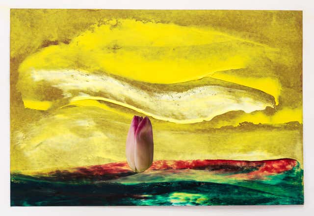 Robert Roth - Lime Green 1965 with Radio For Sale at 1stDibs | robert ...