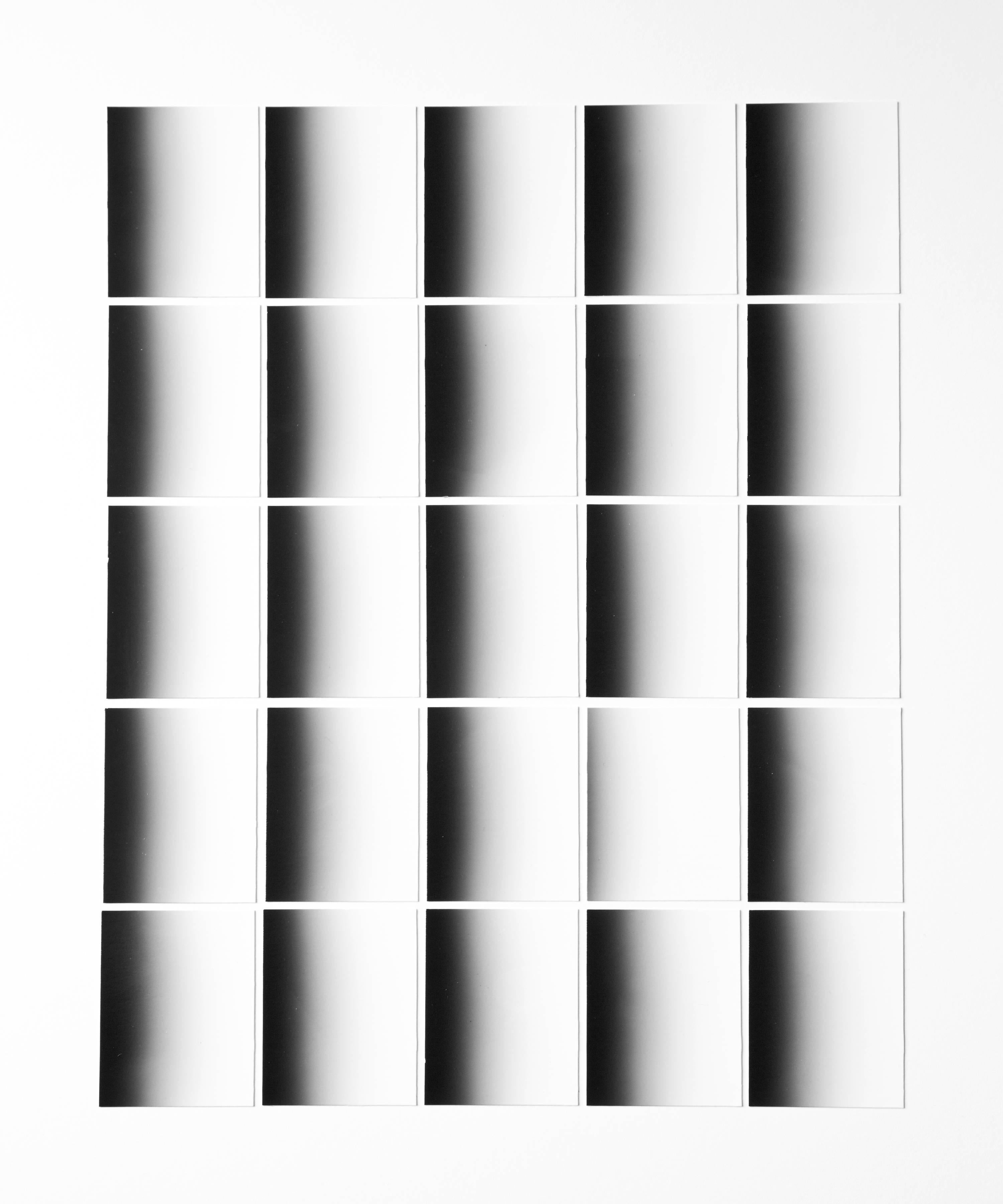 Joanne Dugan Abstract Photograph - Grid 11