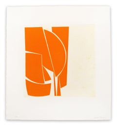 Covers 1 Orange (Abstract print)