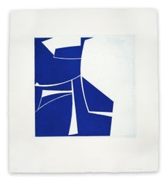 Covers 2 Cobalt (Abstract print)