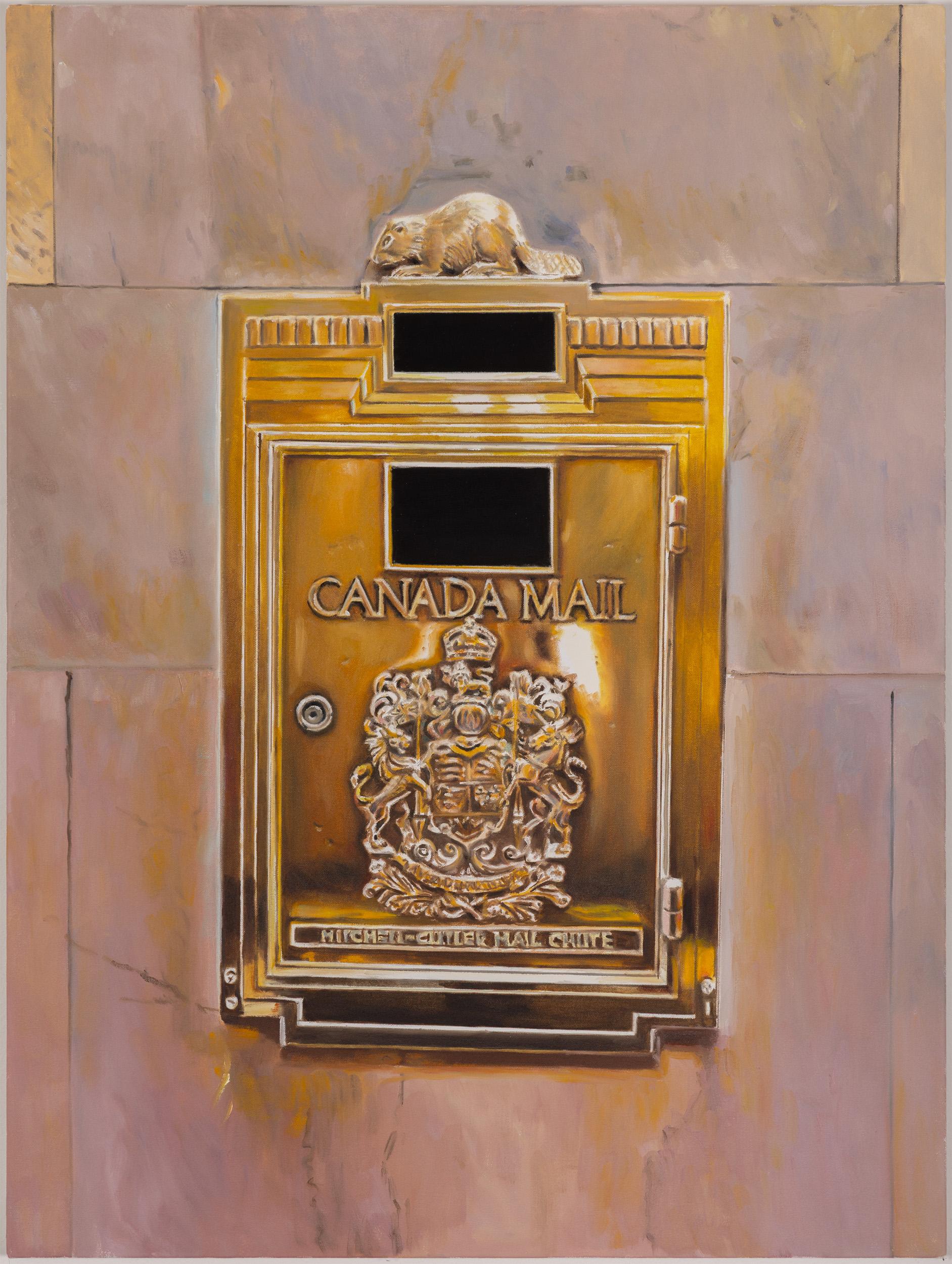 Lumaca Castoro in vendita 9