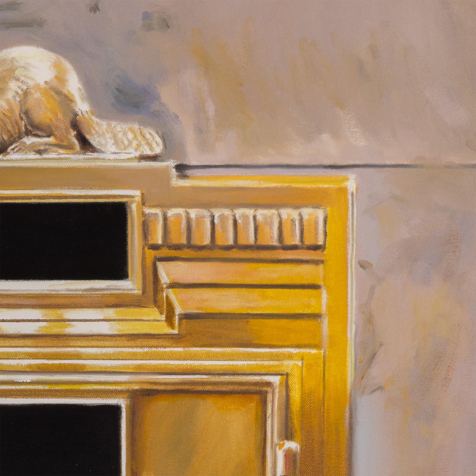 Lumaca Castoro in vendita 3