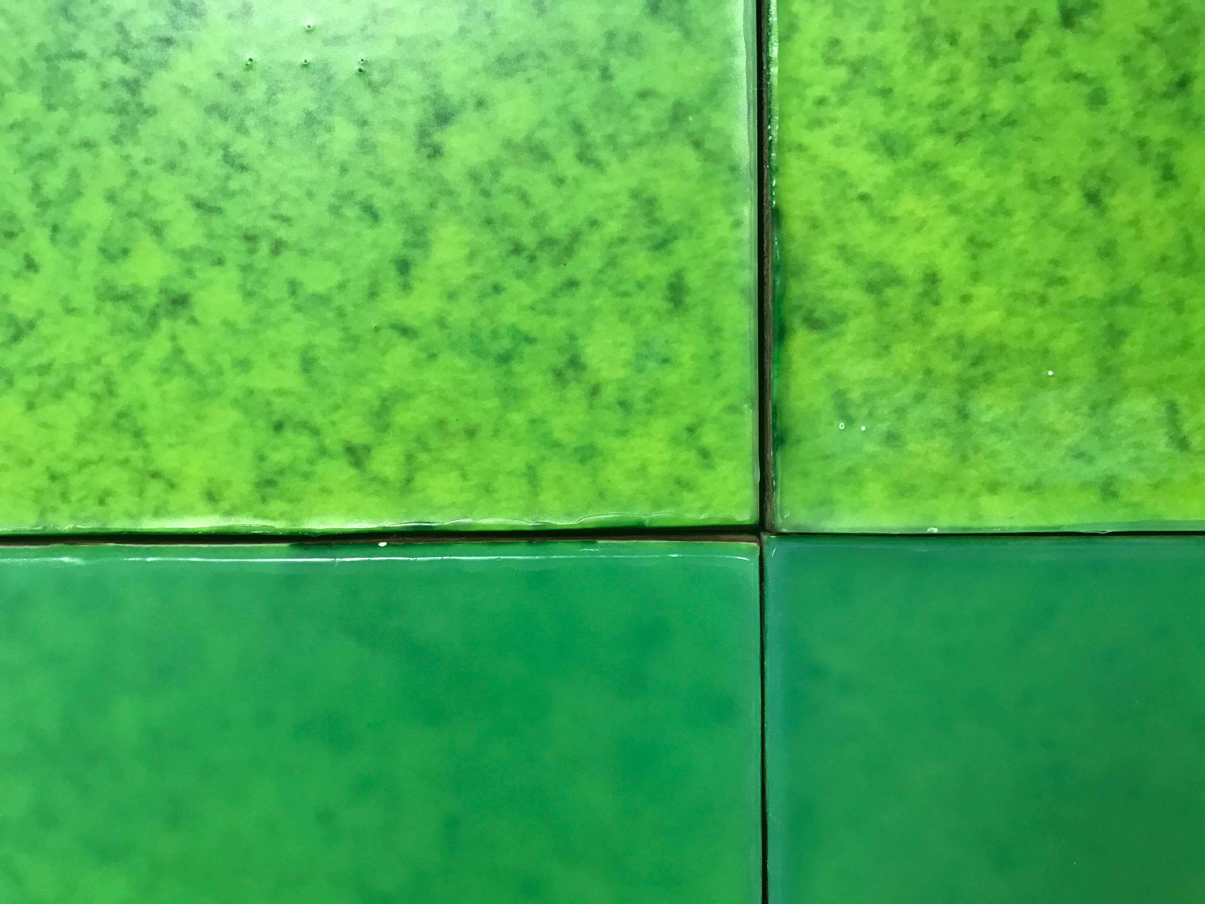 Installazione a parete multi-pannello Waxwork, 