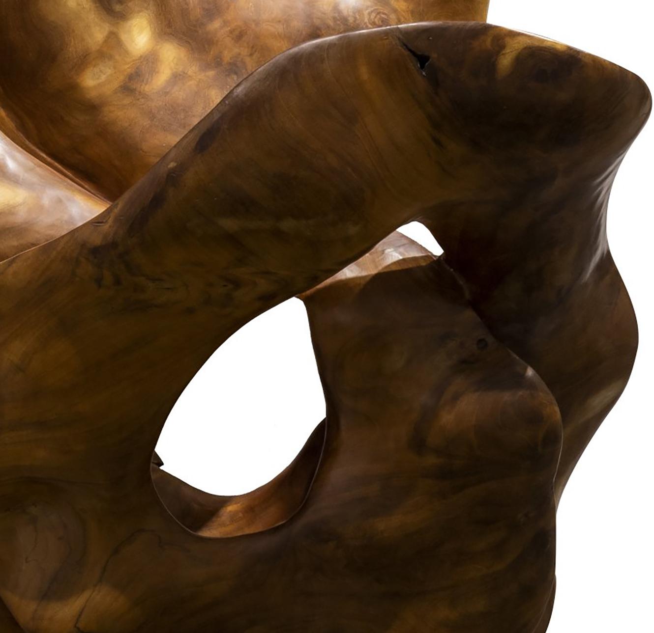Abrazo - 21st Century, Contemporary, Abstract Sculpture, Mahogany Root, Wood 3