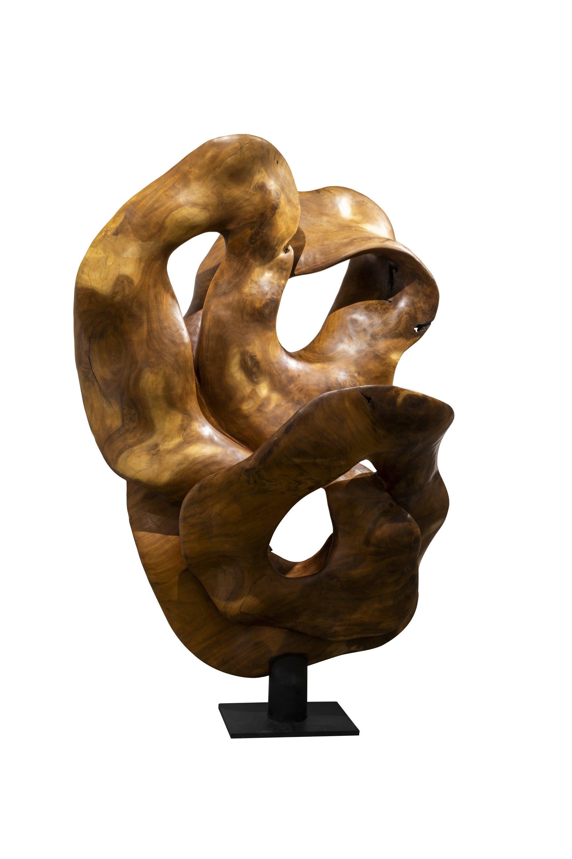 Abrazo - 21st Century, Contemporary, Abstract Sculpture, Mahogany Root, Wood