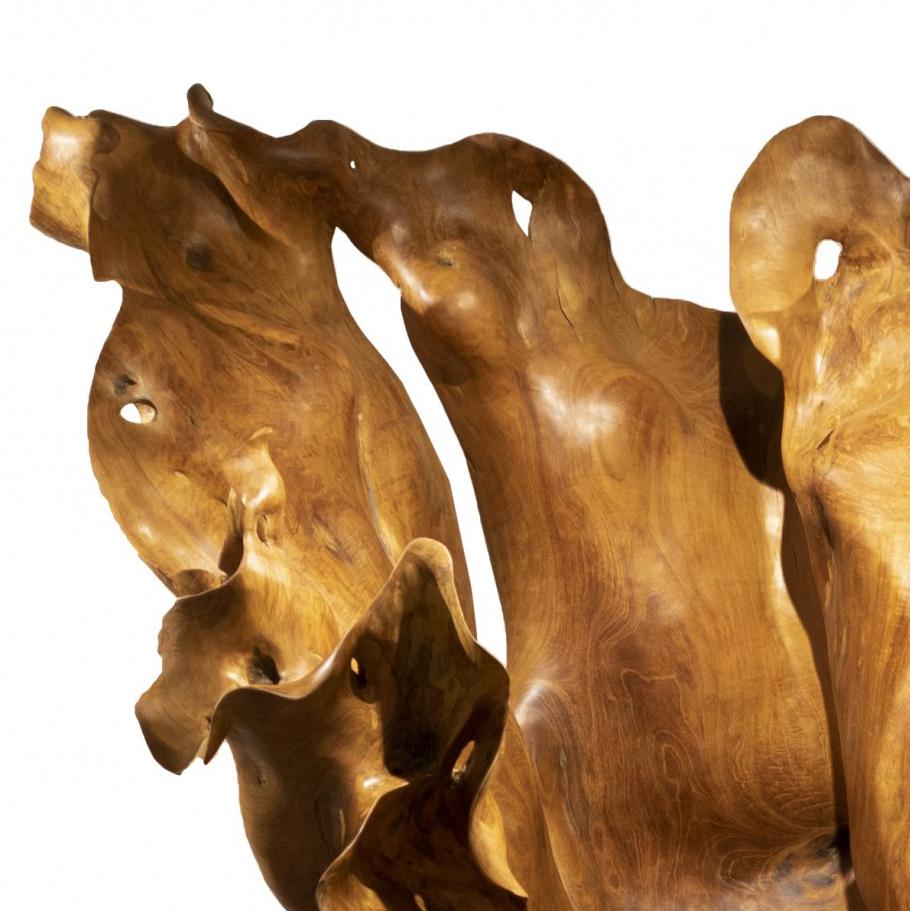 Alegría - 21st Century, Contemporary, Abstract Sculpture, Mahogany Root, Wood 1