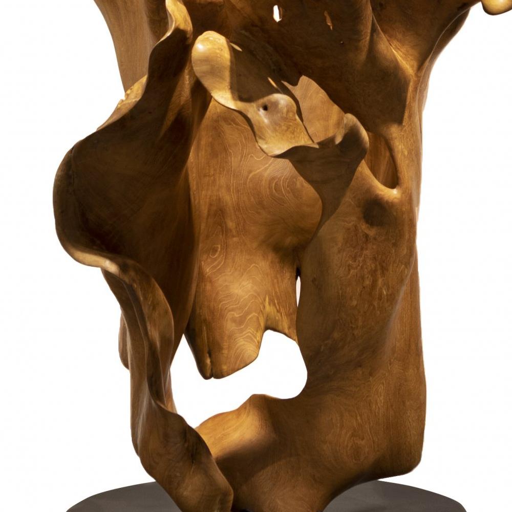 Alegría - 21st Century, Contemporary, Abstract Sculpture, Mahogany Root, Wood 2