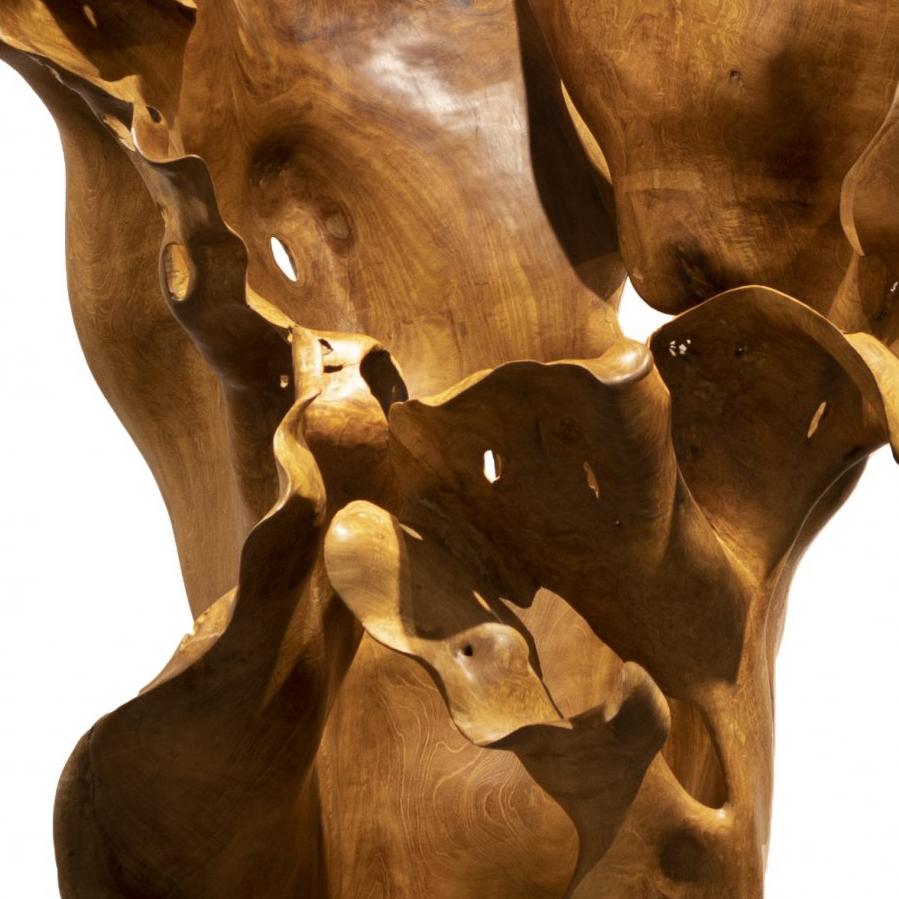 Alegría - 21st Century, Contemporary, Abstract Sculpture, Mahogany Root, Wood 3