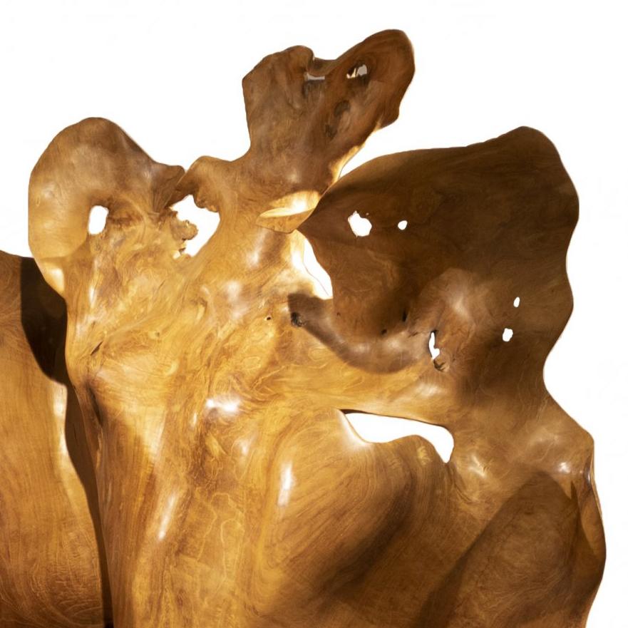 Alegría - 21st Century, Contemporary, Abstract Sculpture, Mahogany Root, Wood 5