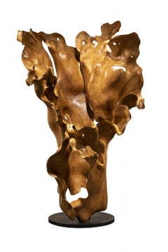 Alegría - 21st Century, Contemporary, Abstract Sculpture, Mahogany Root, Wood