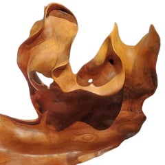 Amanecer - 21st Century, Contemporary, Abstract Sculpture, Mahogany Root, Wood