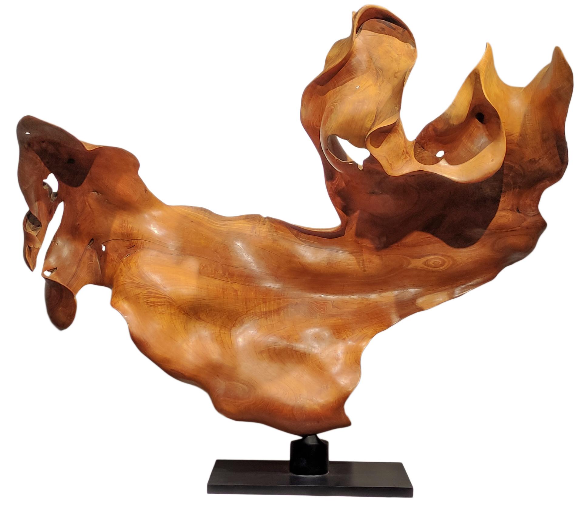 Joaquim Ingravidesa Abstract Sculpture – Amanecer - 21. Jahrhundert, Zeitgenössisch, Abstrakte Skulptur, Mahagoniwurzel, Holz