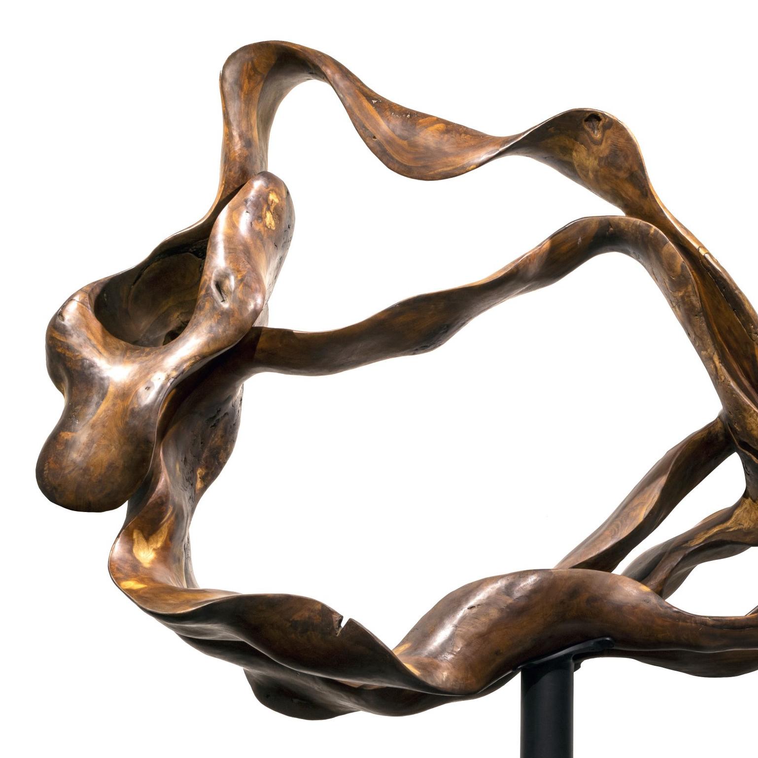 Aura - 21e siècle, contemporain, sculpture abstraite, racine d'acajou, bois - Sculpture de Joaquim Ingravidesa