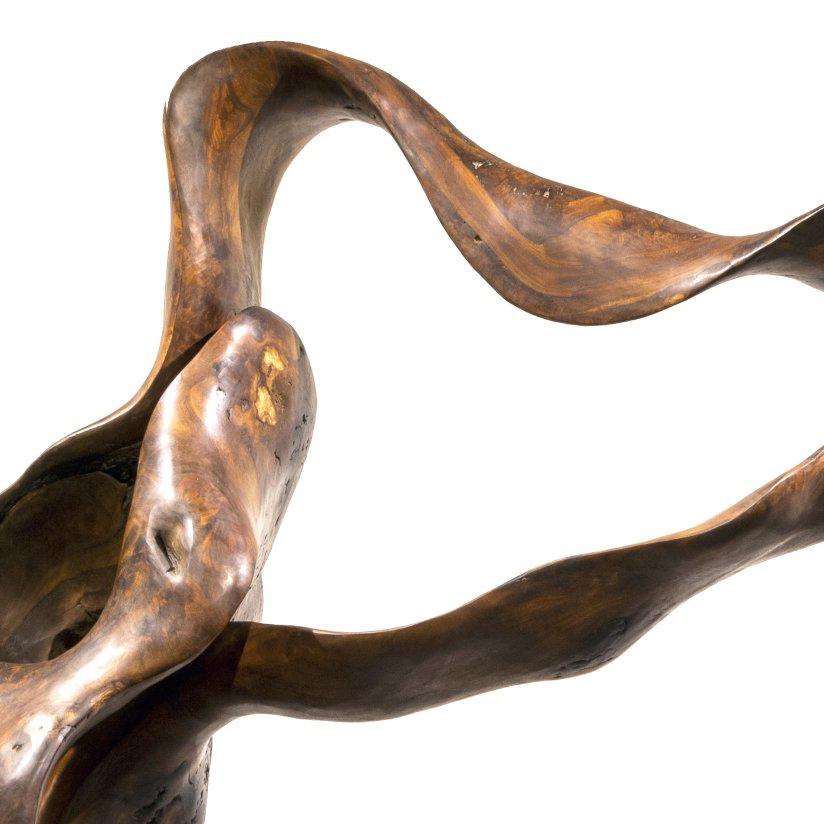 Aura - 21e siècle, contemporain, sculpture abstraite, racine d'acajou, bois - Contemporain Sculpture par Joaquim Ingravidesa