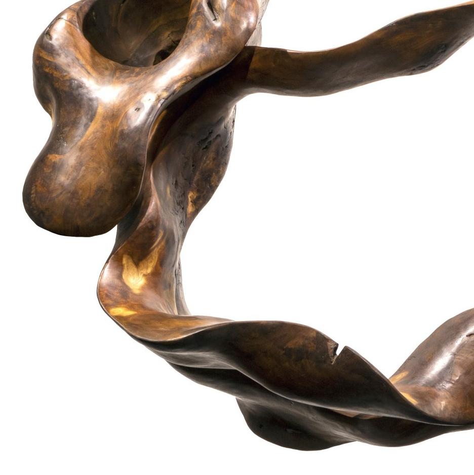 Aura - 21st Century, Contemporary, Abstract Sculpture, Mahogany Root, Wood For Sale 1