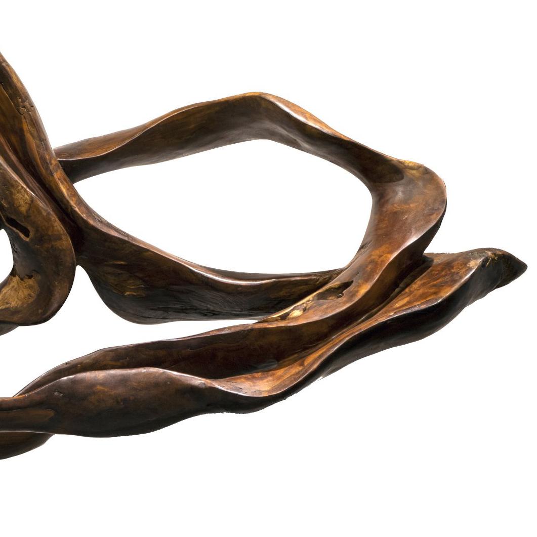 Aura - 21e siècle, contemporain, sculpture abstraite, racine d'acajou, bois en vente 1